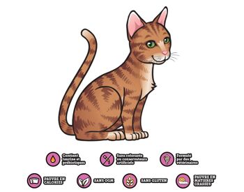 Kittyrade Boisson pour chat enrichie en prébiotiques | Solution d’hydratation et de réhydratation 10x250ml 3