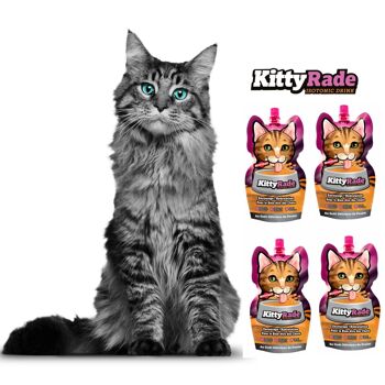 Kittyrade Boisson pour chat enrichie en prébiotiques | Solution d’hydratation et de réhydratation 10x250ml 4