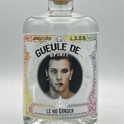 La Gueule de... SPIRIT - Le NoGINder