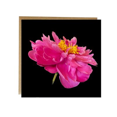 Tarjeta de felicitación de peonía rosa - tarjeta de felicitación floral