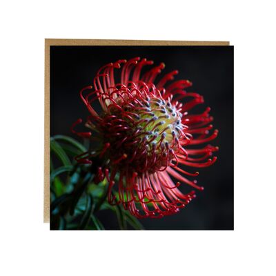 Flower greeting card - fine art floral greeting card