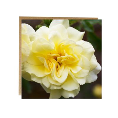 Rose tarjeta de felicitación - Rosa amarilla tarjeta de felicitación