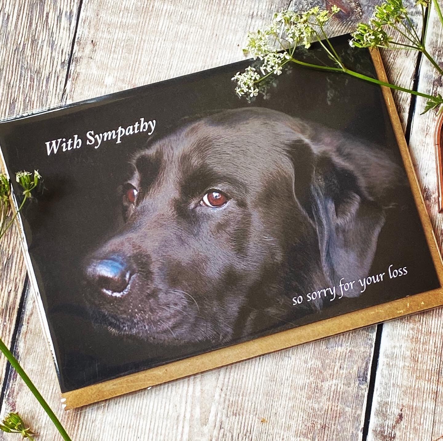 sympathy for the loss of your dog - Dog sympathy card
