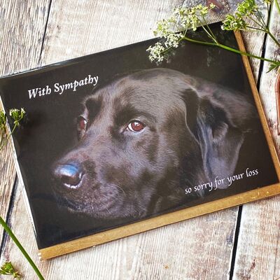sympathy for the loss of your dog - Dog sympathy card