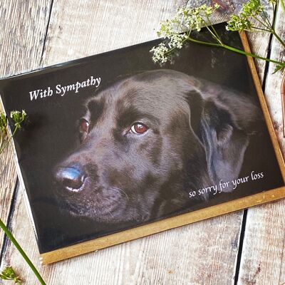sympathie pour la perte de votre chien - carte de sympathie pour chien