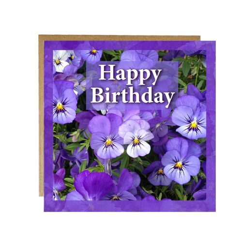 Purple Pansy Birthday card