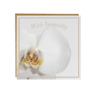 With Sympathy card - sorry for your loss greeting card