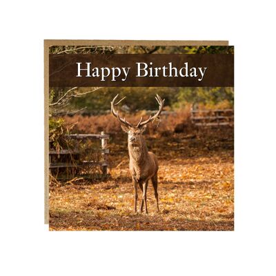 Stag Birthday card - deer Happy birthday card