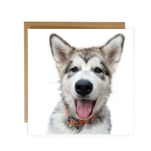 Alaskan Malamute puppy greeting card - cute puppy card