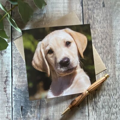 Tarjeta de felicitación de cachorro labrador