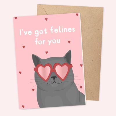 Felines Valentines Card