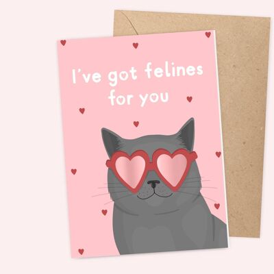 Felines Valentines Card
