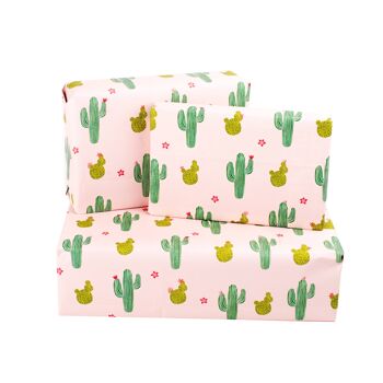 Papier Cadeau Cactus - 1 Feuille 2