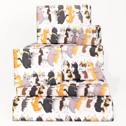 Cat Conga Wrapping Paper - 1 Sheet