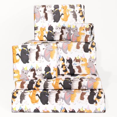 Papier Cadeau Chat Conga - 1 Feuille