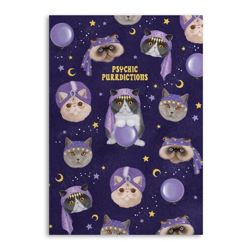 Central 23 'Psychic Cats' Notebook - 120 Ruled Pages