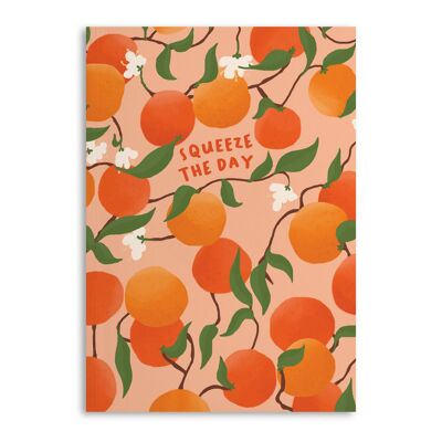 Central 23 - 'Squeeze the Day' Notebook - 120 Ruled Pages