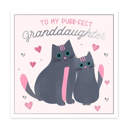 Chedar the Cat Granddaughter Card