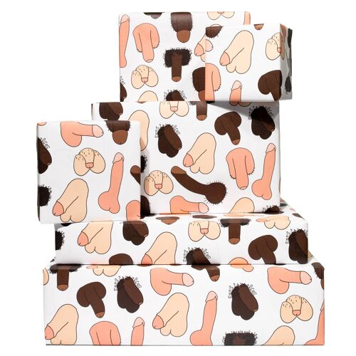 Colourful Willies Wrapping Paper - 1 Sheet
