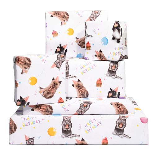 Cupcake Kitties Bday Wrapping Paper - 1 Sheet