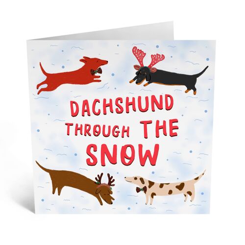 DACHSHUND THROUGH THE SNOW DOGS