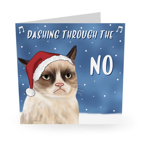 DASHING THROUGH THE NO 2