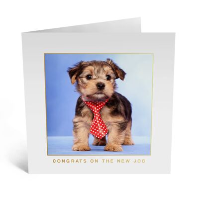 Dog with Tie Card