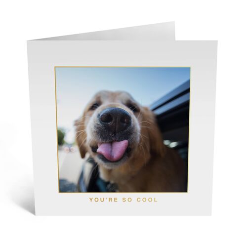 Dog with Tounge Out Card