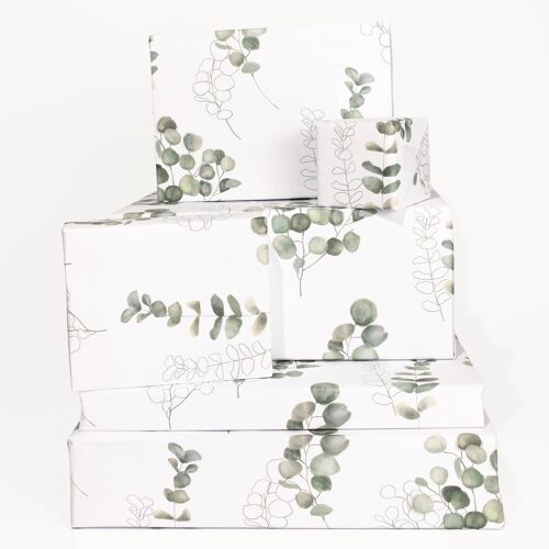 Eucalyptus Wrapping Paper - 1 Sheet