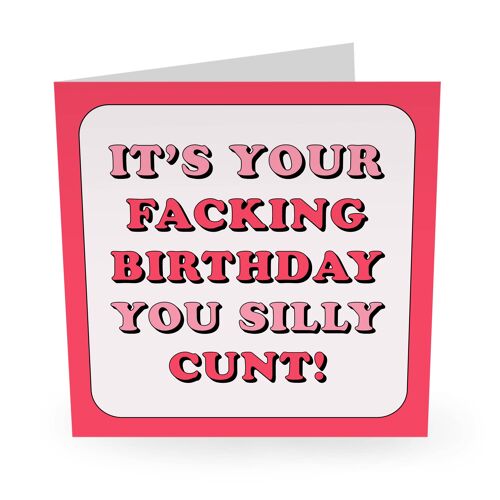 Facking Birthday You Silly Cunt Funny Birthday Card