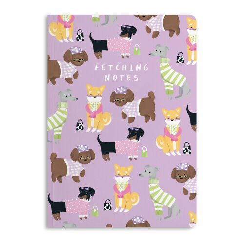 FETCHING NOTES NOTEBOOK
