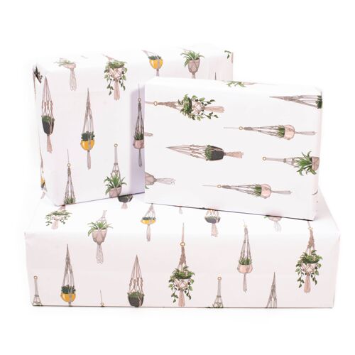 Hanging Plants Wrapping Paper - 1 Sheet