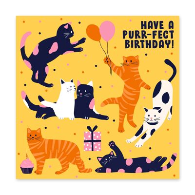 Haben Sie eine lustige Geburtstagskarte zum Purrfect-Geburtstag