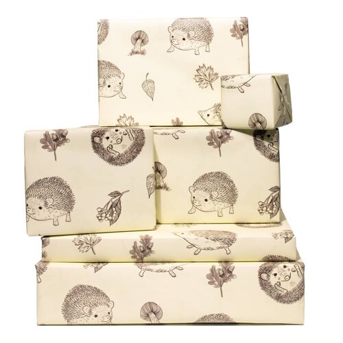 Hedgehog Autumn Wrapping Paper - 1 Sheet