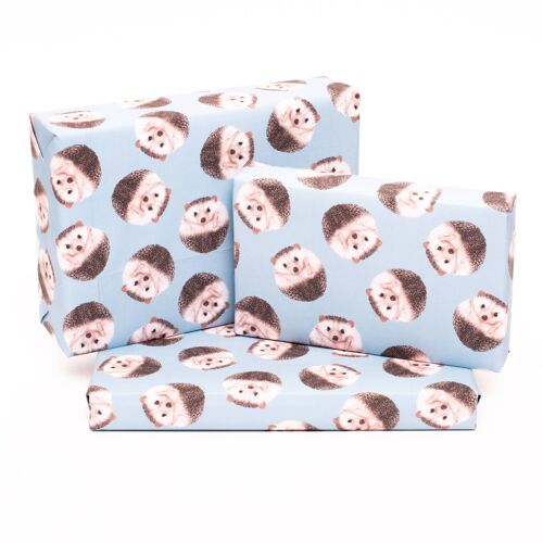 Hedgehogs Wrapping Paper - 1 Sheet