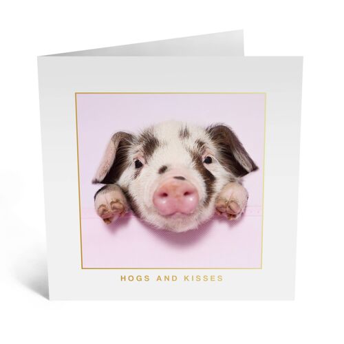 Hogs and Kisses Card