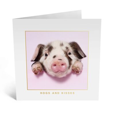 Schweine und Küsse Karte