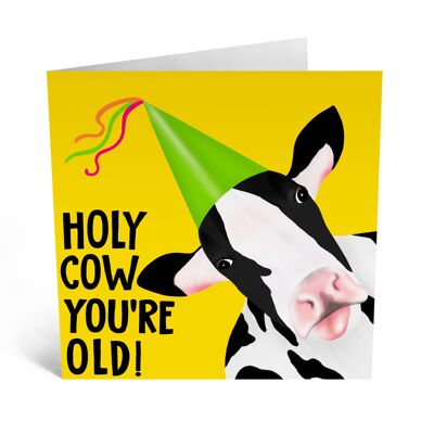 Holy Cow Sei una vecchia carta