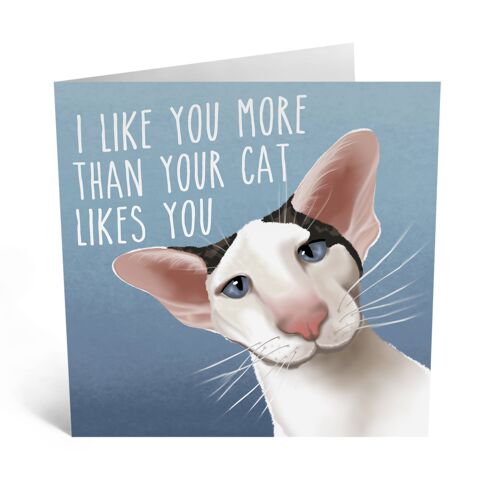I Like You More Than Your Cat Likes You Cute Love Card