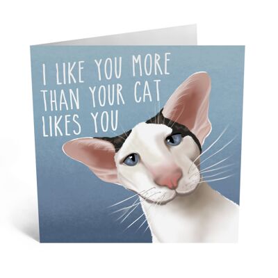 Mi piaci più di quanto piaci al tuo gatto Simpatico biglietto d'amore