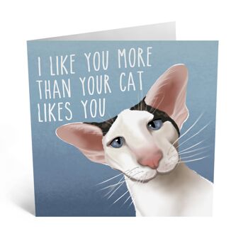 Je t'aime plus que ton chat ne t'aime Carte d'amour mignonne 1