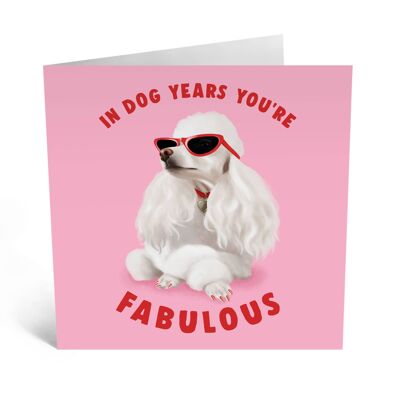 In Dog Years You're Fabulous Funny Birthday Card