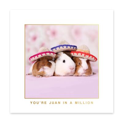 Juan Guinea Pigs Card