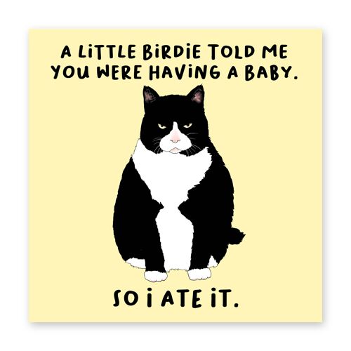 Little Birdie Having a Baby Card