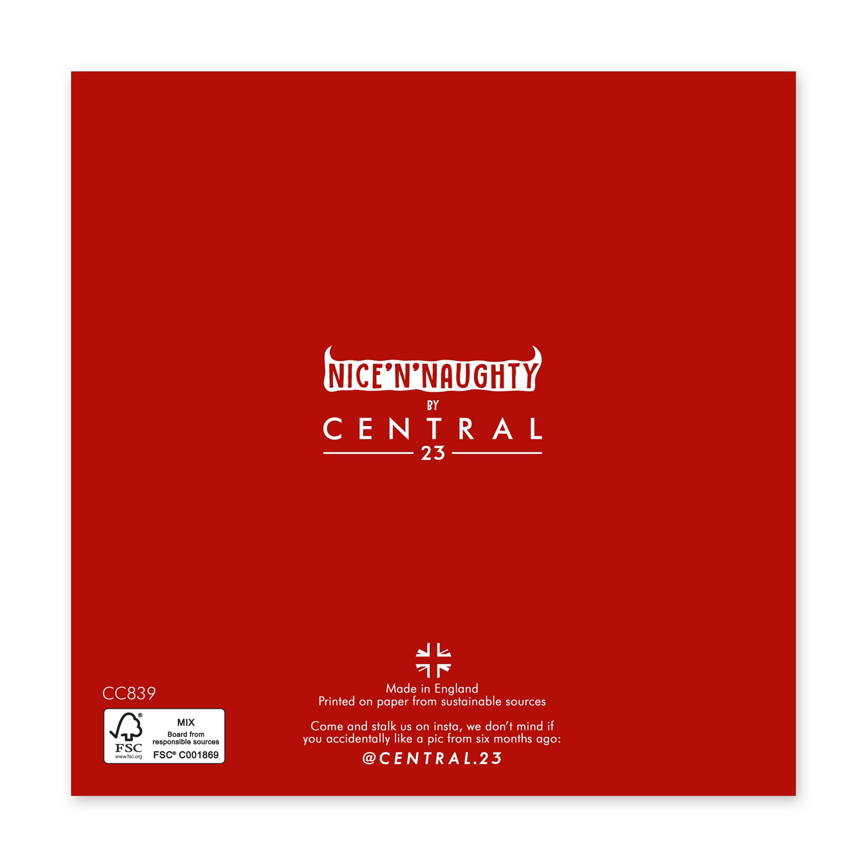 TÊTE DE CONTE JOYEUX NOËL