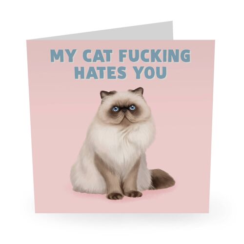 My Cat Fucking Hates You Funny Love Card