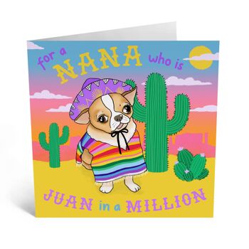 Nana Juan dans un million de cartes 3