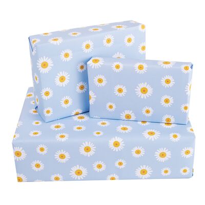 Pressed Daisies Wrapping Paper - 1 Sheet