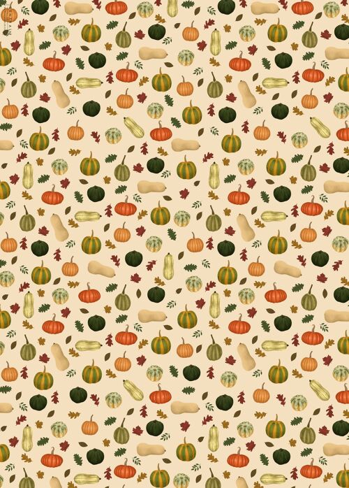 Pumpkins And Squashes Wrapping Paper - 1 Sheet