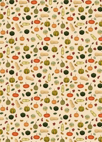 Papier Cadeau Citrouilles Et Courges - 1 Feuille